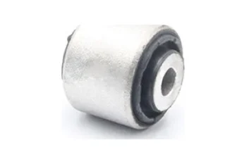 SALINCAK DENGE KOL BURCU, ARKA SAG / SOL