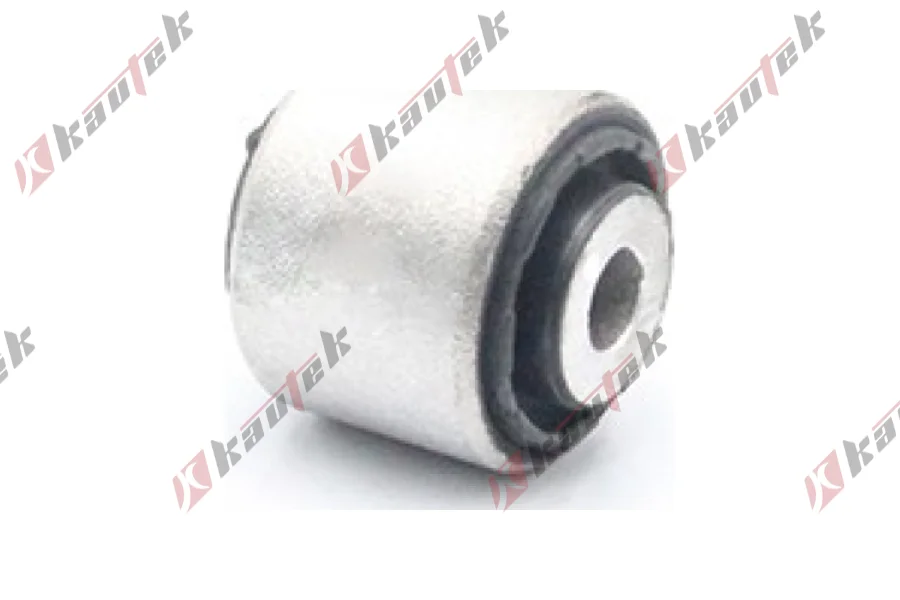 SALINCAK DENGE KOL BURCU, ARKA SAG / SOL