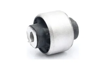 SALINCAK BURCU BUYUK