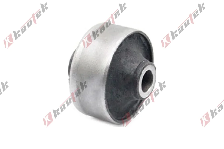 SALINCAK BURCU BUYUK