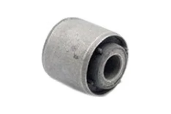 SALINCAK BURCU, ARKA