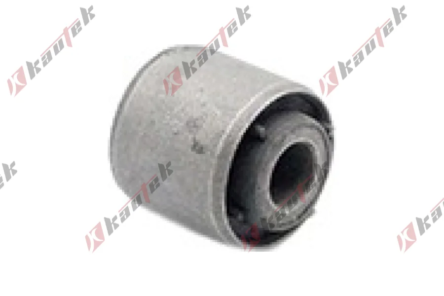 SALINCAK BURCU, ARKA