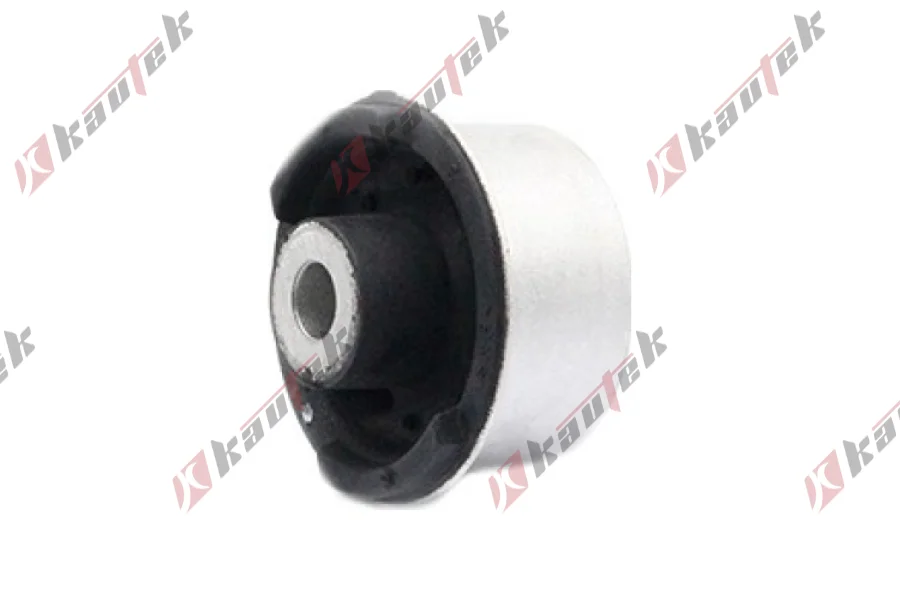 SALINCAK BURCU BUYUK ALT