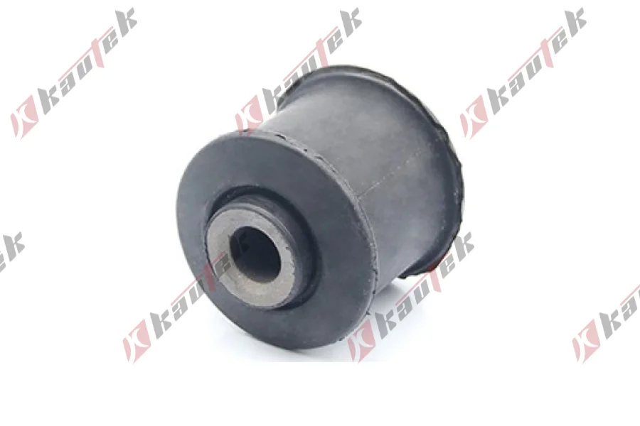 SALINCAK DENGE KOL BURCU, ARKA