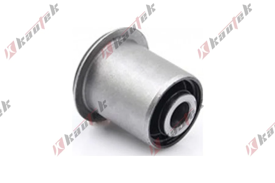 SALINCAK DENGE KOL BURCU, ARKA