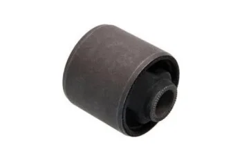 SALINCAK - DENGE KOLU BURCU, ARKA