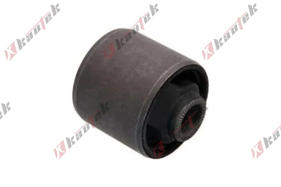 SALINCAK - DENGE KOLU BURCU, ARKA