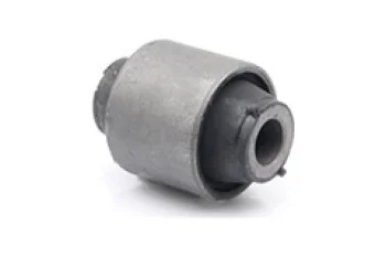 SALINCAK DENGE KOL BURCU, ARKA