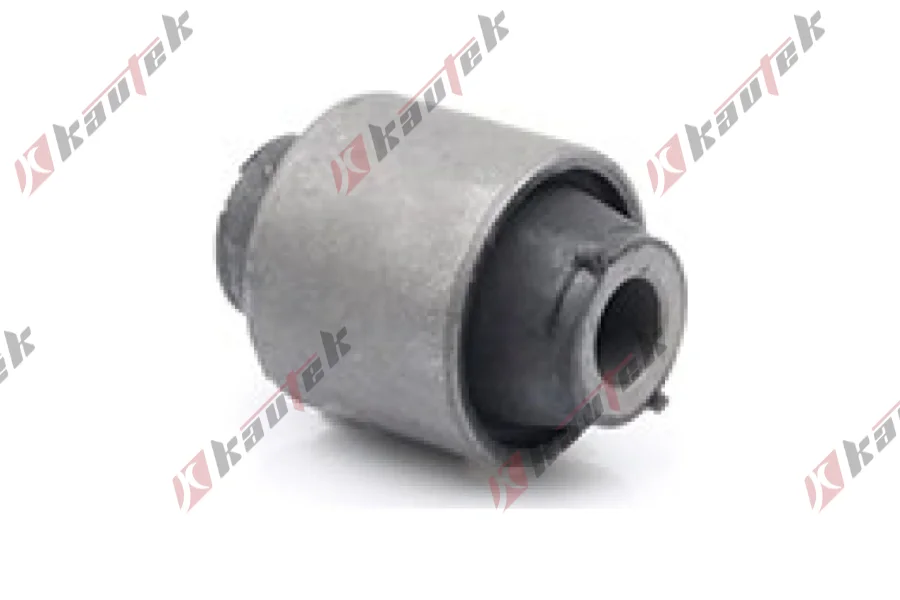 SALINCAK DENGE KOL BURCU, ARKA