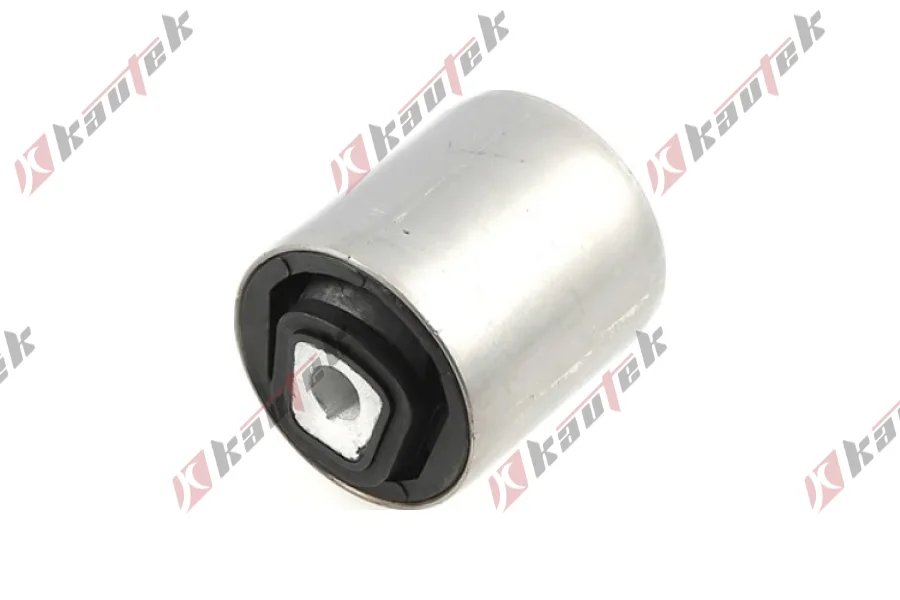 SALINCAK BURCU ON IC SAG / SOL