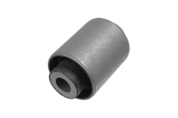 SALINCAK DENGE KOL BURCU