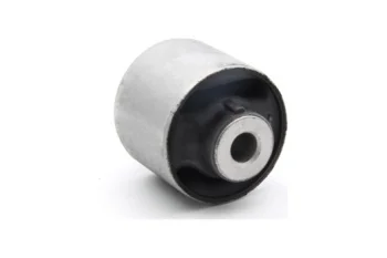 SALINCAK BURCU ON IC