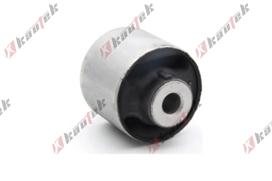 SALINCAK BURCU ON IC