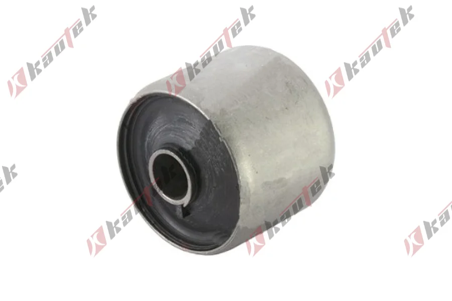 SALINCAK BURCU ARKA IC