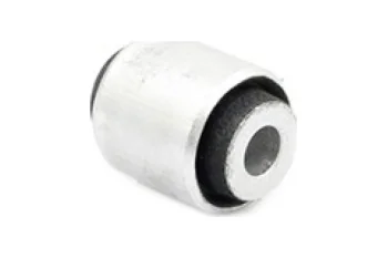 SALINCAK BURCU, ARKA