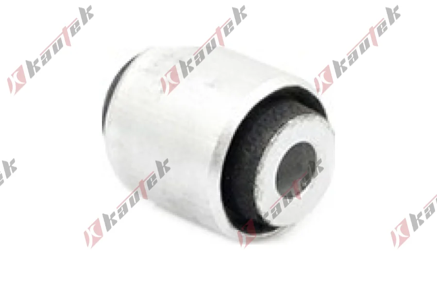 SALINCAK BURCU, ARKA