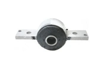 SALINCAK BURCU BUYUK