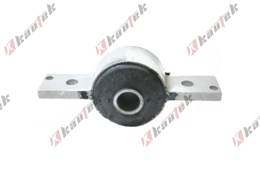 SALINCAK BURCU BUYUK