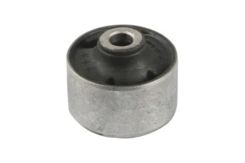 SALINCAK DENGE KOL BURCU