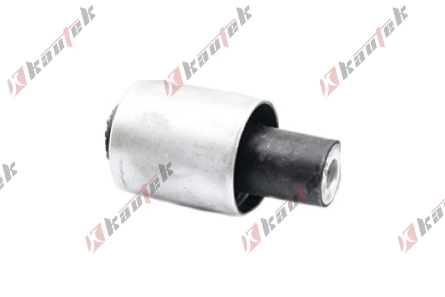 SALINCAK BURCU ARKA BUYUK