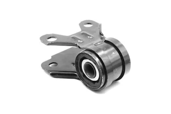 SALINCAK BUYUK BURCU