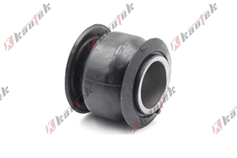 SALINCAK DENGE KOL BURCU, ARKA