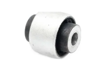 SALINCAK DENGE KOL BURCU, ARKA