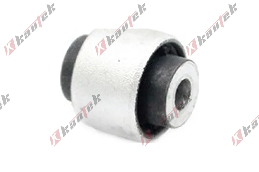 SALINCAK DENGE KOL BURCU, ARKA