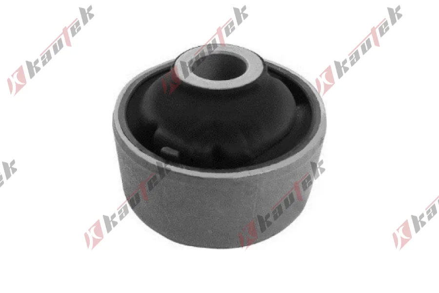 SALINCAK BURCU, ARKA