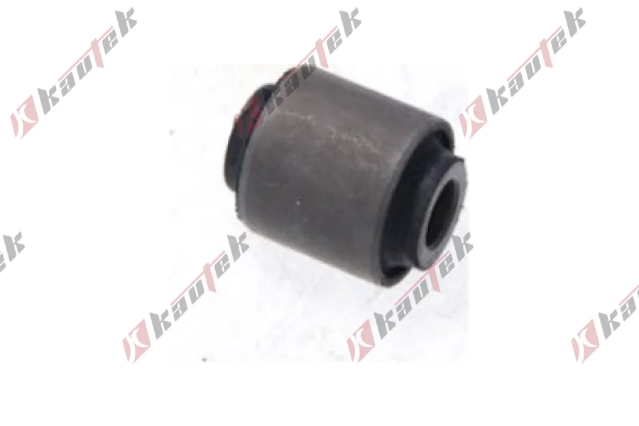 SALINCAK DENGE KOL BURCU, ARKA