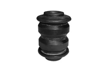 SALINCAK BURCU ORTA KUCUK