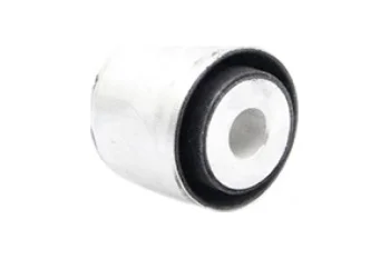 SALINCAK BURCU, DIS ARKA