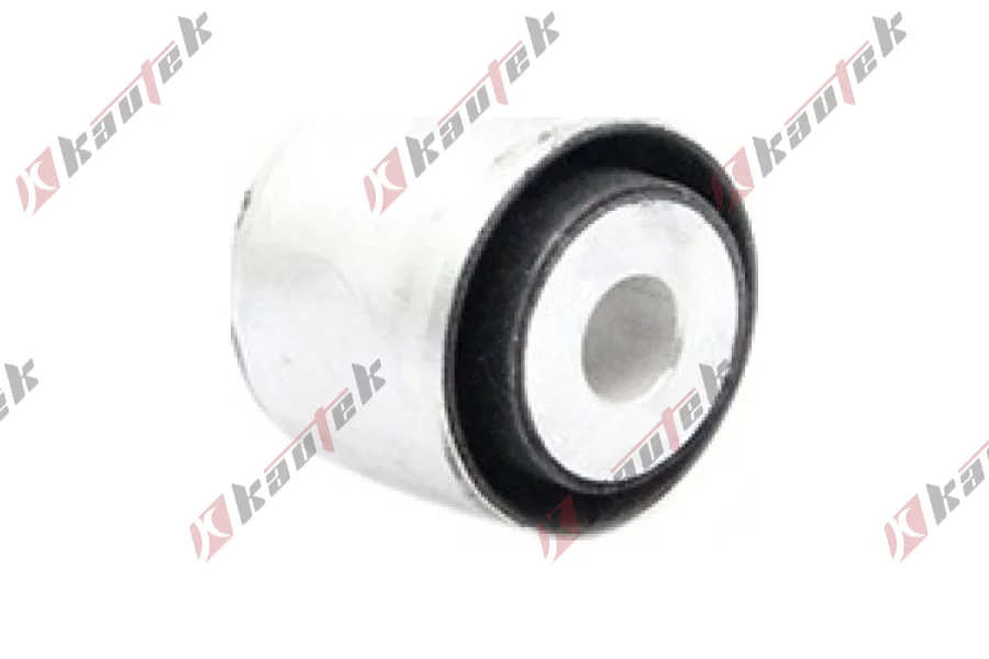 SALINCAK BURCU, DIS ARKA