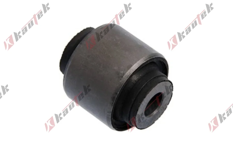 SALINCAK DENGE KOLU BURCU, ARKA UST