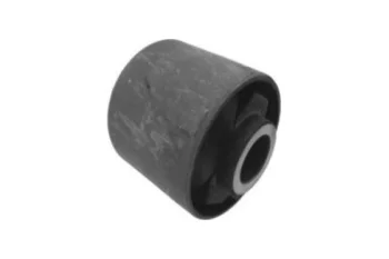 SALINCAK DENGE KOL BURCU, ARKA