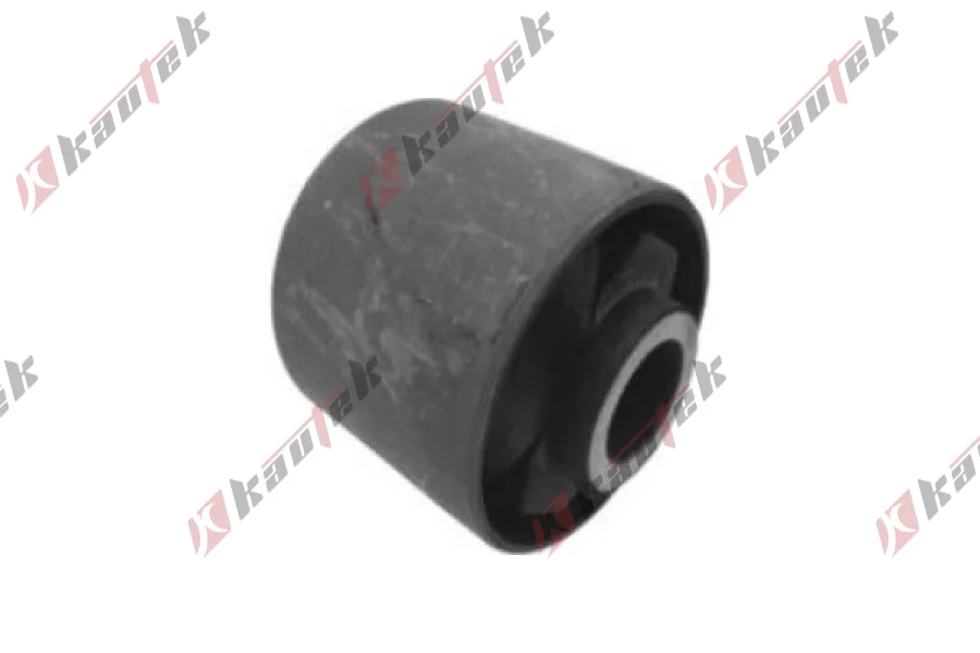 SALINCAK DENGE KOL BURCU, ARKA