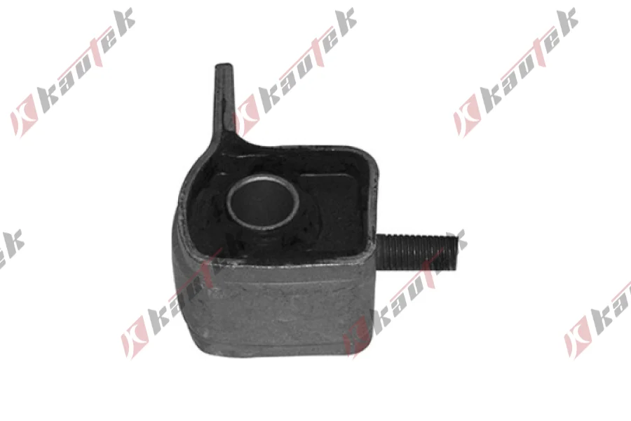 SALINCAK BURCU ARKA BUYUK