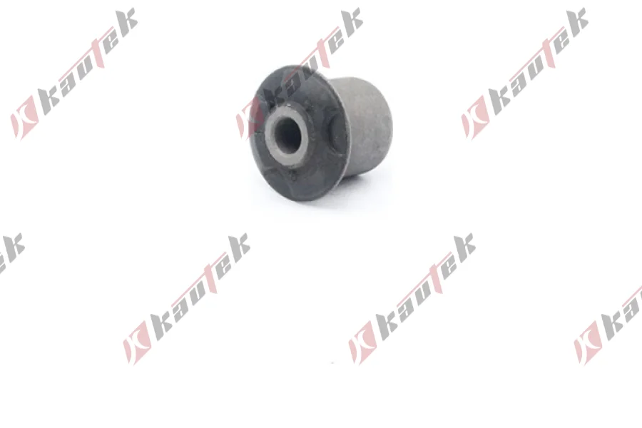 SALINCAK BURCU ARKA KUCUK