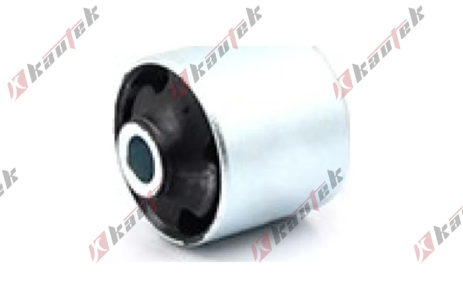 SALINCAK DENGE KOL BURCU, ARKA