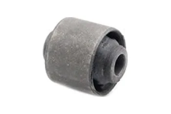 DENGE KOL BURCU, ARKA