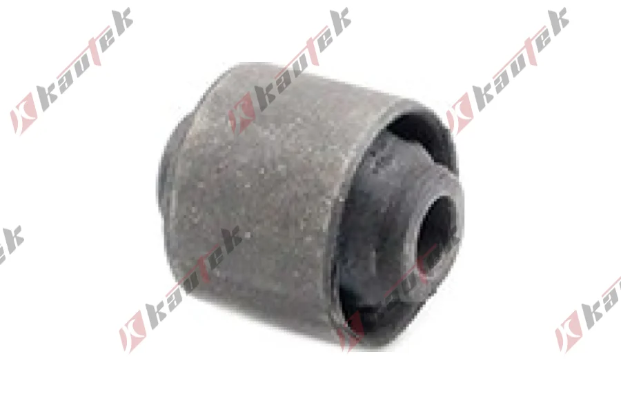 DENGE KOL BURCU, ARKA