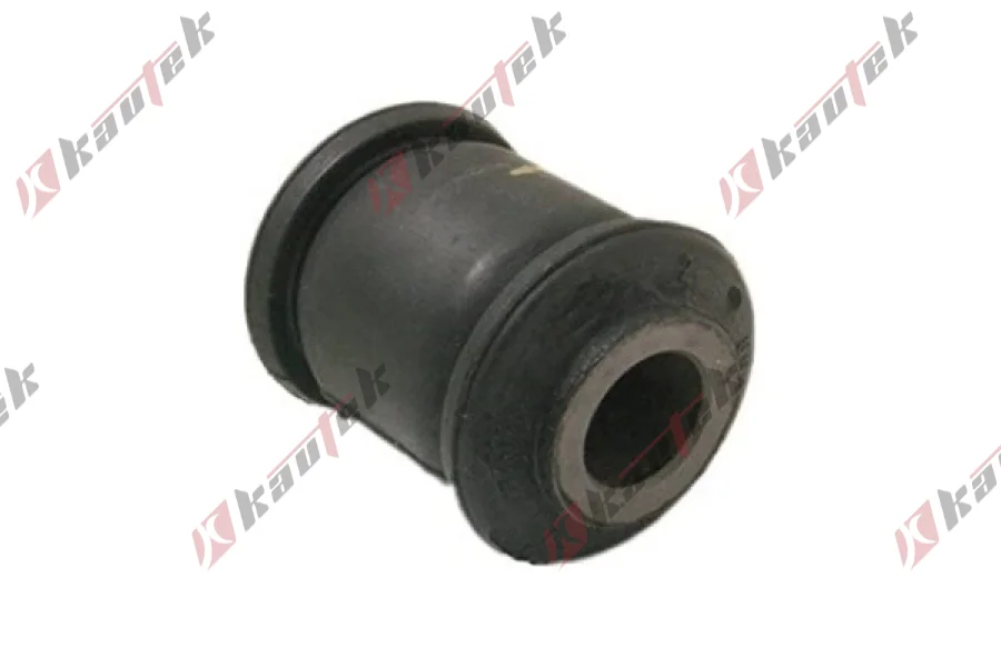 SALINCAK DENGE KOL BURCU, ARKA