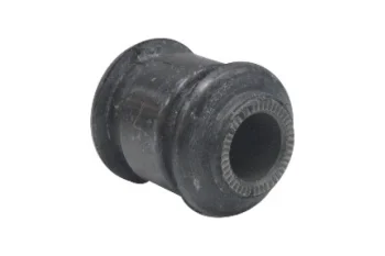 SALINCAK BURCU, ARKA