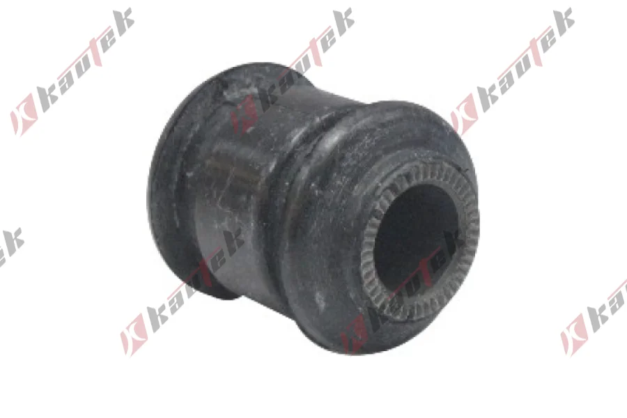 SALINCAK BURCU, ARKA