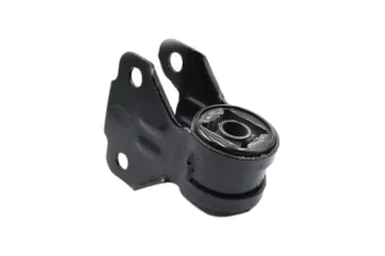 SALINCAK BURCU, ON BUYUK SOL