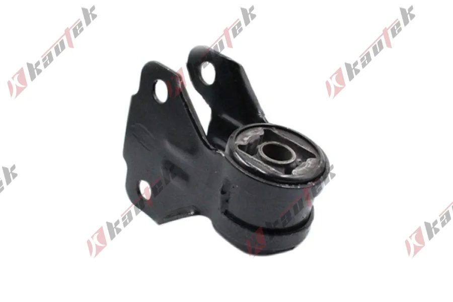 SALINCAK BURCU, ON BUYUK SOL