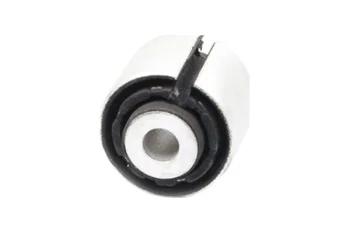 DENGE KOL BURCU, ARKA