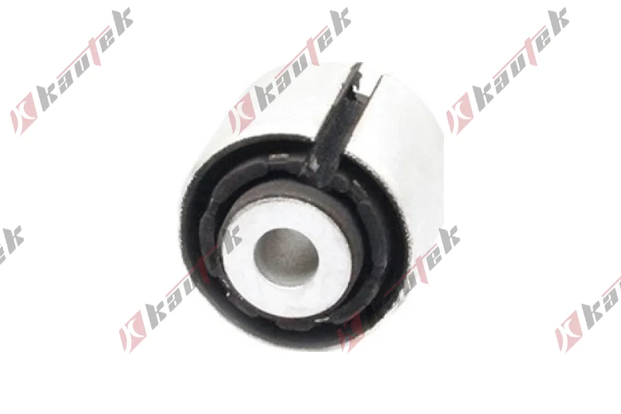 DENGE KOL BURCU, ARKA