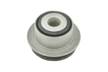 SALINCAK DENGE KOL BURCU, ARKA