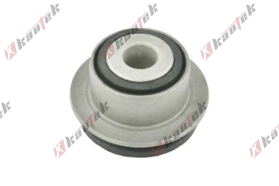 SALINCAK DENGE KOL BURCU, ARKA